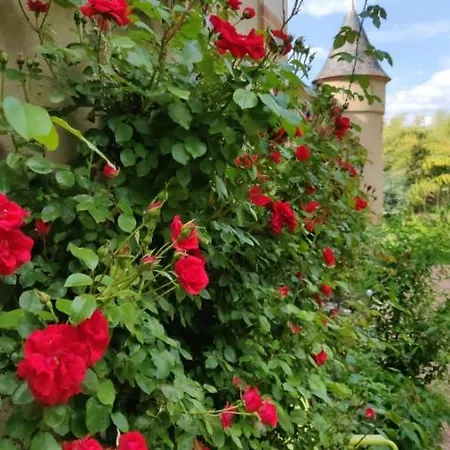 Chateau De Etienne Frühstückspension *