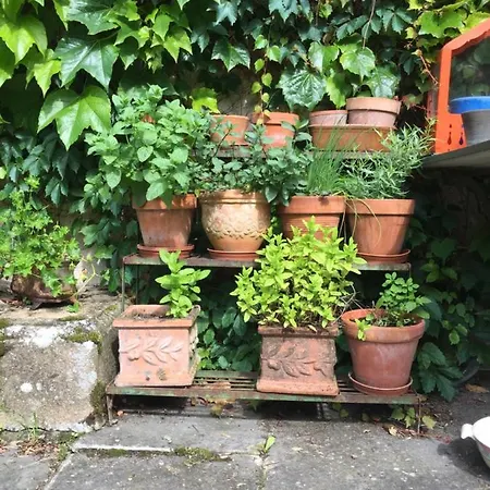 Chateau De Etienne Frühstückspension Saint-Gerand-le-Puy